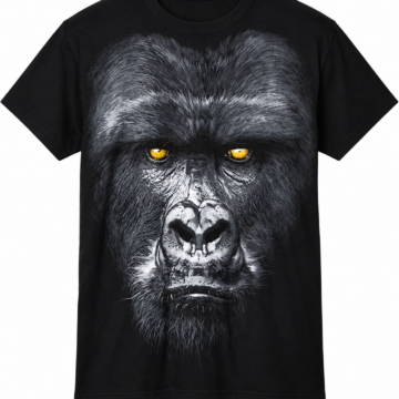 Navy Blue Solid Crew Neck T-Shirt